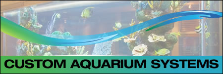 Photo Gallery - Custom Aquarium Systems