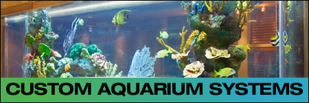 Photo Gallery - Custom Aquarium Systems