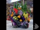 Photo Gallery - Synthetic Reef Rock